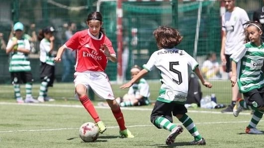 Setor feminino cresce cerca de 25 por cento