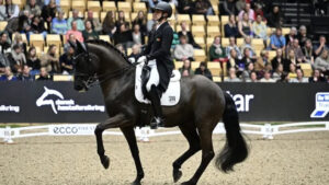 Portugal em 5.º lugar na Taça das Nações de Dressage