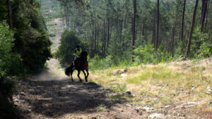 Filipe Martins vence 3.ª edição do Garranos Raide
