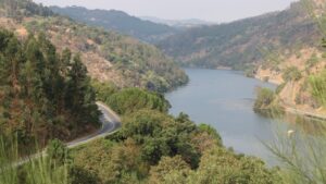 Rota N222 homenageia Pedro Matos Chaves