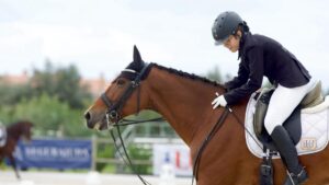 Atletas da Academia João Cardiga brilham no regional de Dressage