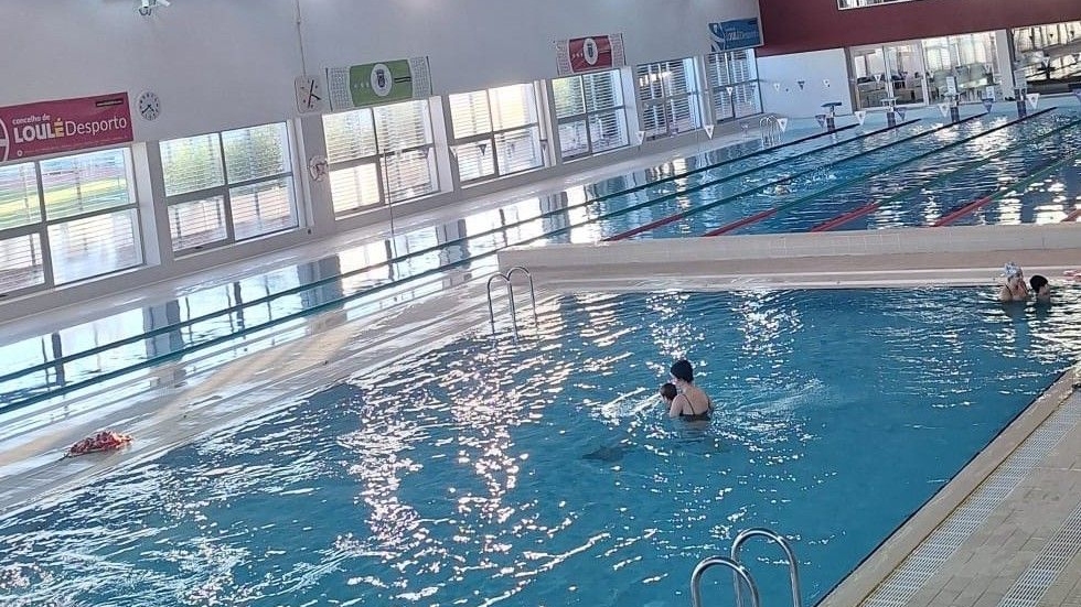 Federação cria Comissão de Ética