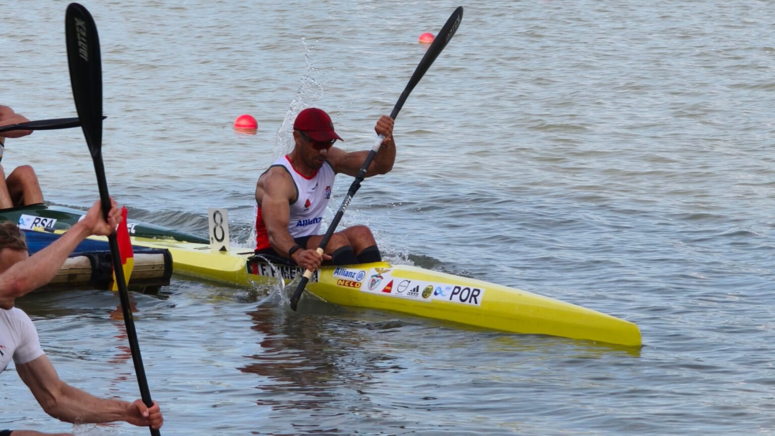 Portugal com quatro medalhas na Hungria