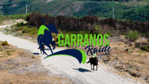 Quarta edição do Garranos Raide em Vieira do Minho