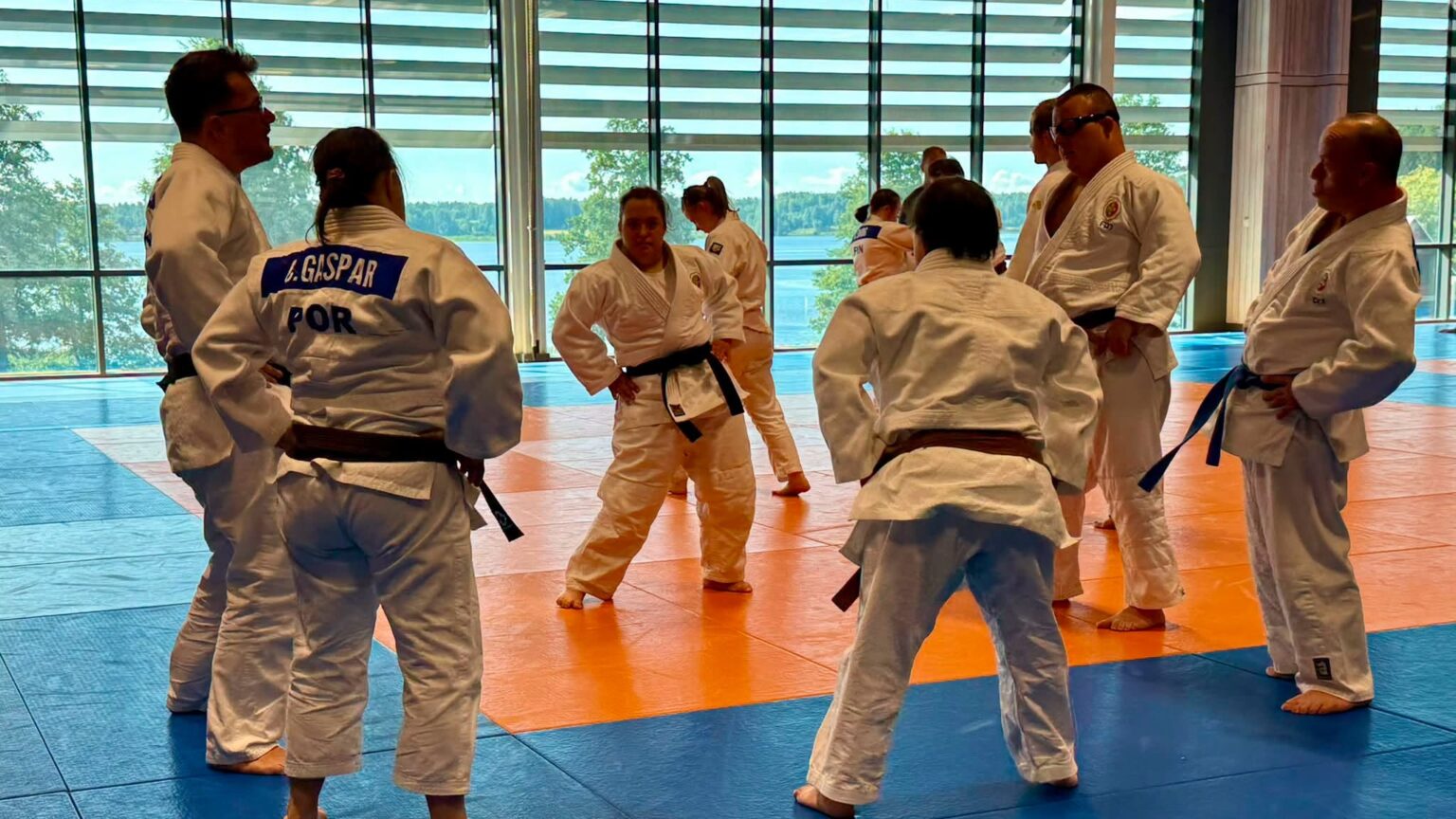 Portugal com seis medalhas no Mundial Judown